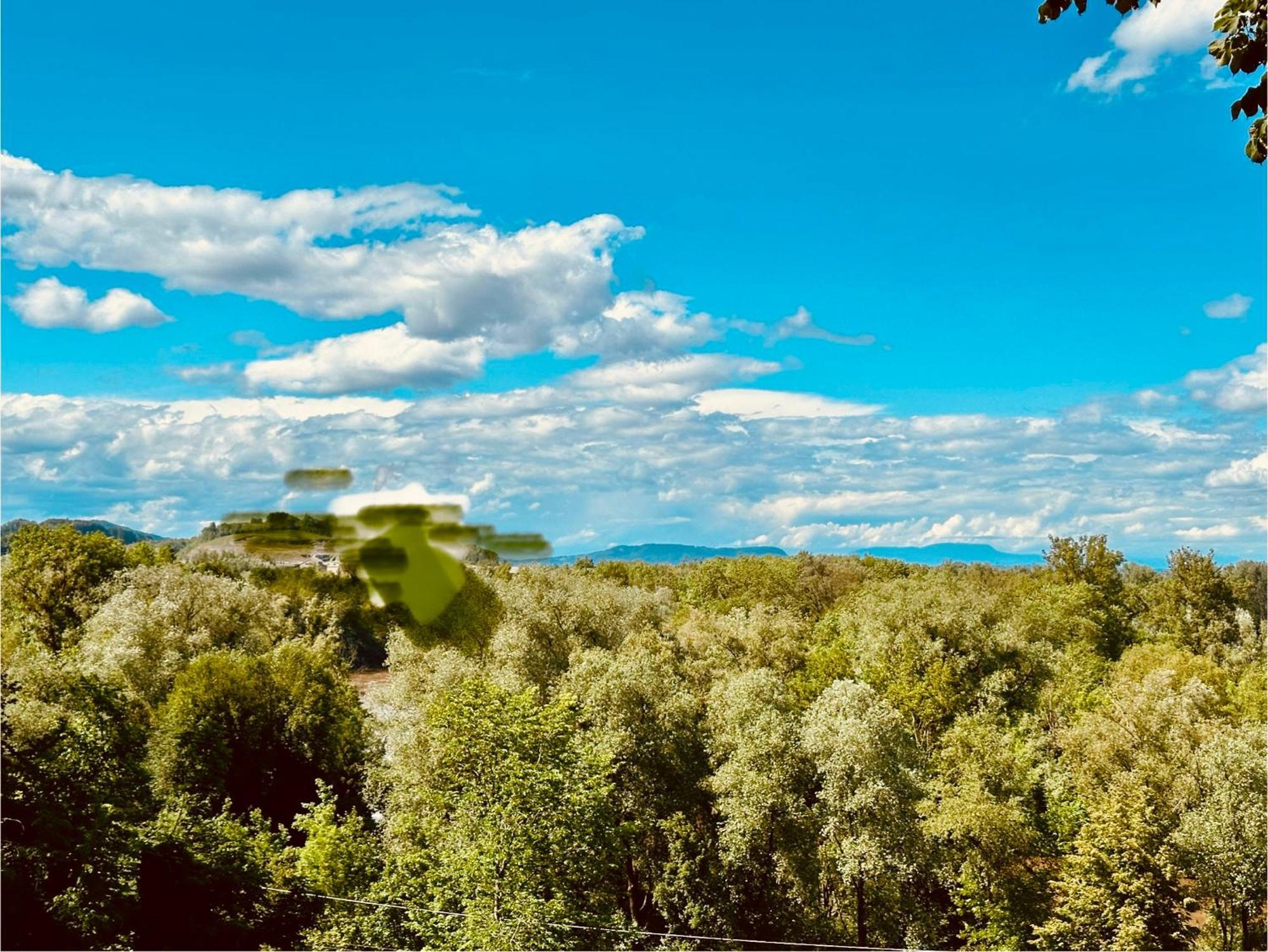Georgi Schloss - Boutique Hotel Еренхаузен Екстериор снимка